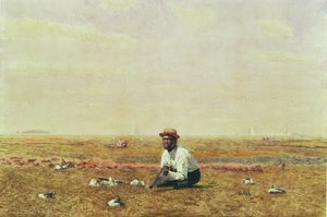 Pfeifen für Regenpfeifer, 1874